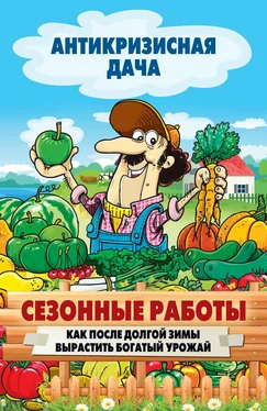 Сергей Кашин Сезонные работы. Как после долгой зимы вырастить богатый урожай обложка книги