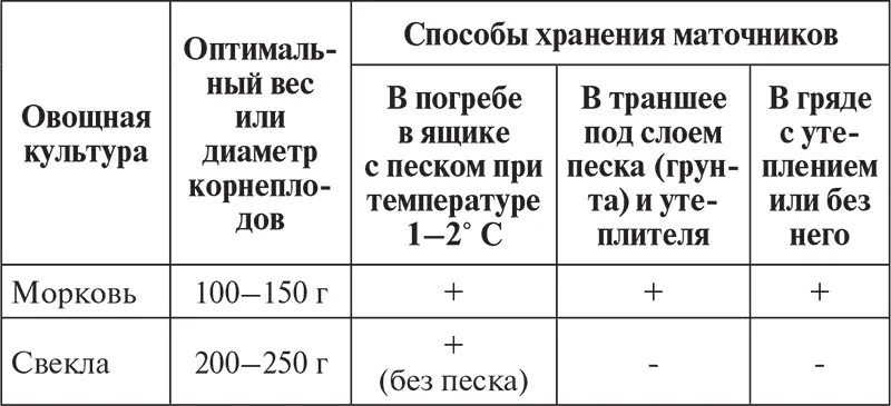 В зависимости от периода когда сформировались семена в начале или конце - фото 8