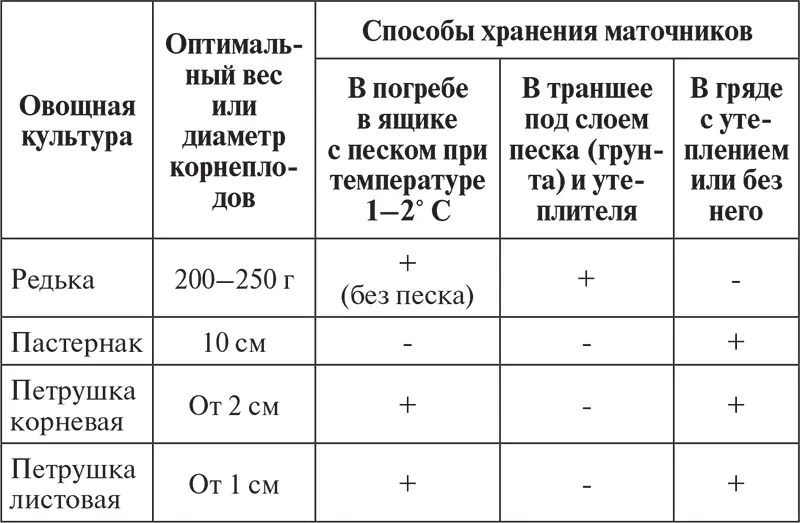 В зависимости от периода когда сформировались семена в начале или конце - фото 9