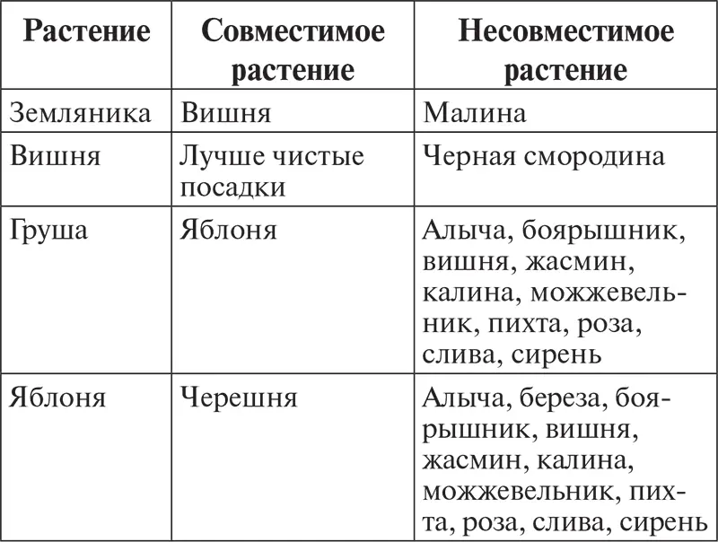 Помимо этого при высадке растений следует учитывать их особенности - фото 3