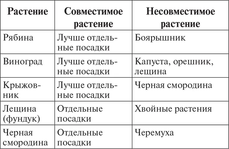 Помимо этого при высадке растений следует учитывать их особенности - фото 4