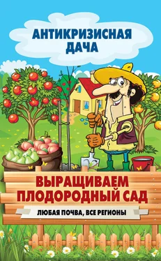 Сергей Кашин Выращиваем плодородный сад. Любая почва, все регионы