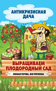 Сергей Кашин Выращиваем плодородный сад. Любая почва, все регионы обложка книги