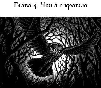 Мы достигли башни поздно вечером Это была осыпающиеся заброшенные руины - фото 4