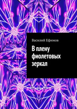 Василий Ефимов В плену фиолетовых зеркал обложка книги