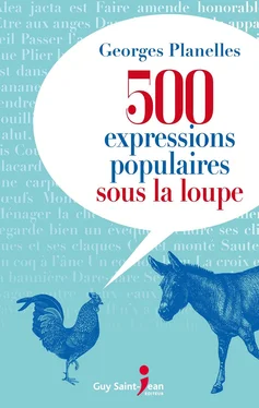 Georges Planelles 500 expressions populaires sous la loupe