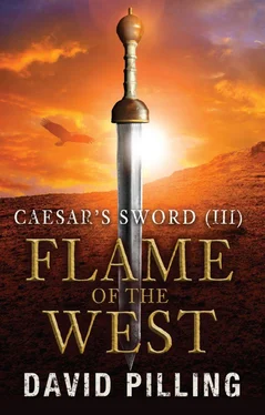 David Pilling Flame of the West обложка книги
