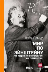 Тибо Дамур - Мир по Эйнштейну. От теории относительности до теории струн