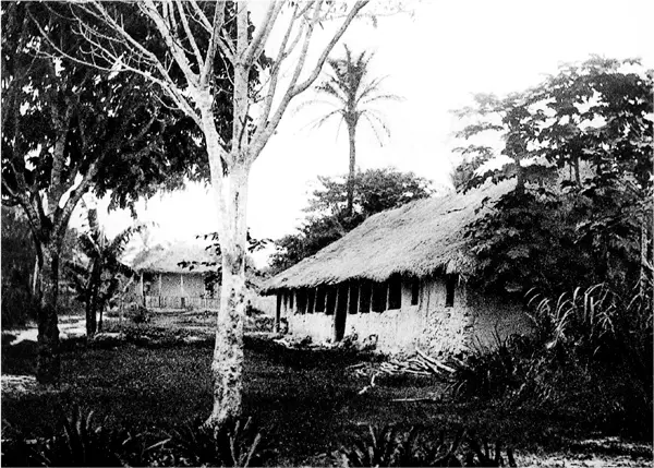 Бельгийская станция на реке Конго 1889 Заря архитектурной истории в - фото 3