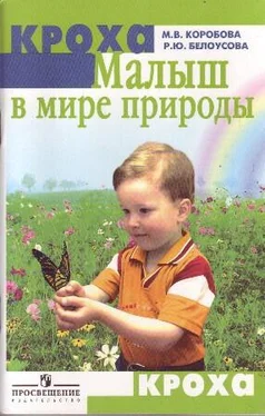 М. Коробова Малыш в мире природы обложка книги