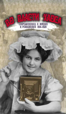 Леонид Аринштейн Во власти хаоса. Современники о войнах и революциях 1914–1920 обложка книги