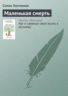 Семен Злотников Маленькая смерть обложка книги