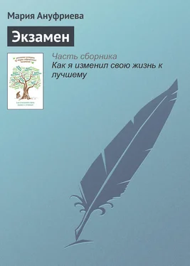 Мария Ануфриева Экзамен обложка книги