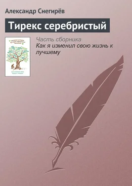 Александр Снегирёв Тирекс серебристый обложка книги