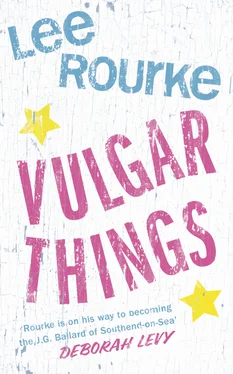 Lee Rourke Vulgar Things обложка книги