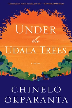 Chinelo Okparanta Under the Udala Trees обложка книги