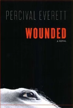 Percival Everett Wounded обложка книги