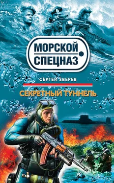 Сергей Зверев Секретный туннель обложка книги