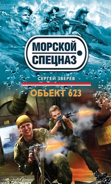 Сергей Зверев Объект 623 обложка книги