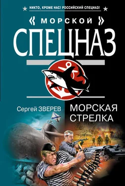 Сергей Зверев Морская стрелка обложка книги