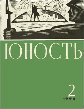 Виссарион Сиснев Кивиток обложка книги