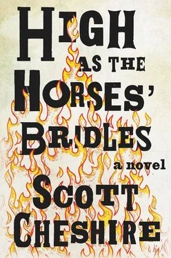 Scott Cheshire High as the Horses' Bridles обложка книги