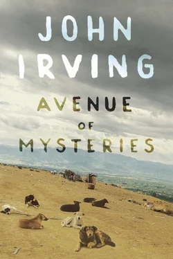 John Irving Avenue of Mysteries обложка книги