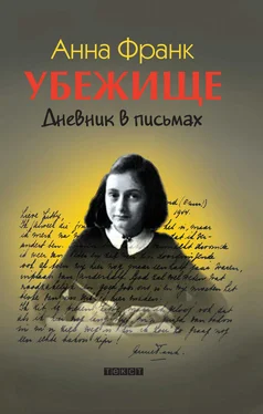 Анна Франк Убежище. Дневник в письмах обложка книги