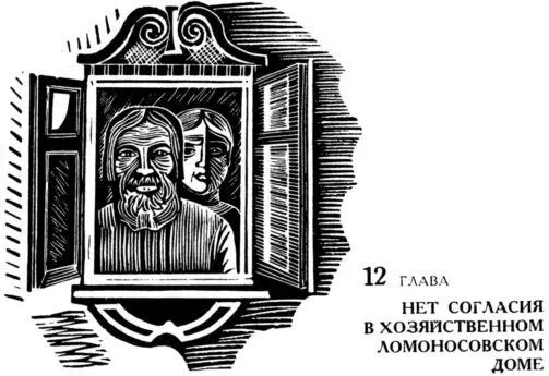 Стоит большой ломоносовский дом над самой дорогой что пролегла через - фото 17