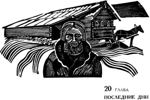 Шел декабрь По большой двинской дороге мимо Курострова через Холмогоры по - фото 29