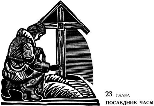 Густая и медленная лавина снега падала на Куростров когда в вечерней тишине - фото 32
