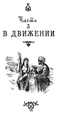 Часть третья В ДВИЖЕНИИ Глава первая ПОИСКИ I Странной удивительной - фото 8