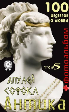 Т. И. Каминская «Антика. 100 шедевров о любви». Том 5 обложка книги