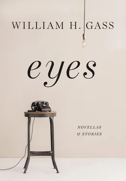 William Gass Eyes: Novellas and Stories обложка книги