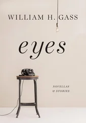 William Gass - Eyes - Novellas and Stories