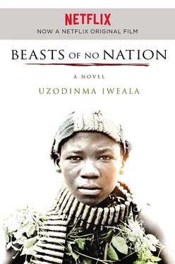 Uzodinma Iweala Beasts of No Nation обложка книги