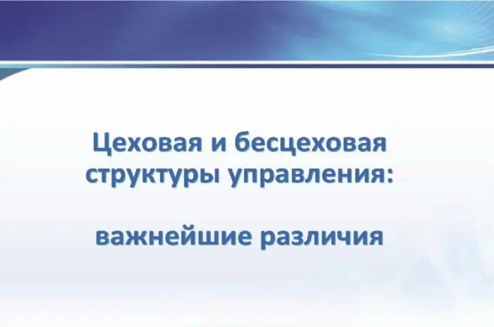 Цеховая и бесцеховая структуры управления производством Проблемы внедрения бесцеховой структуры - фото 8