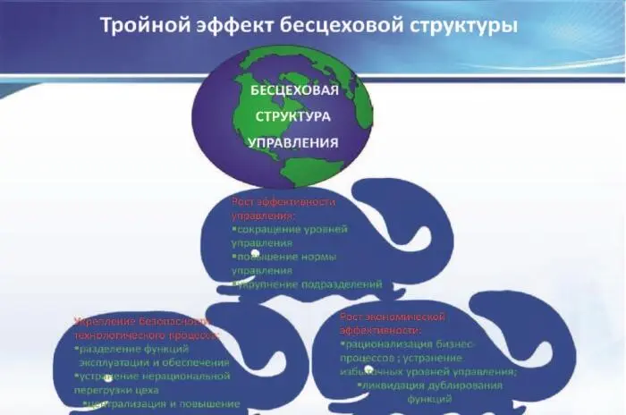 Цеховая и бесцеховая структуры управления производством Проблемы внедрения бесцеховой структуры - фото 16