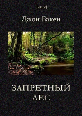 Джон Бакен Запретный лес обложка книги