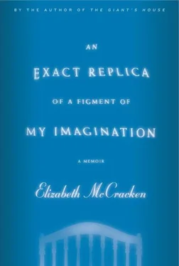 Elizabeth McCracken An Exact Replica of a Figment of My Imagination: A Memoir