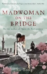 Su Tong - Madwoman On the Bridge and Other Stories