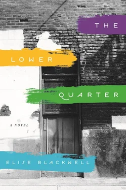 Elise Blackwell The Lower Quarter обложка книги