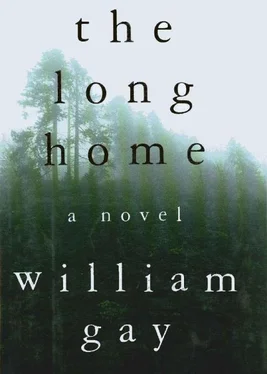 William Gay The Long Home обложка книги