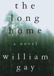 William Gay - The Long Home