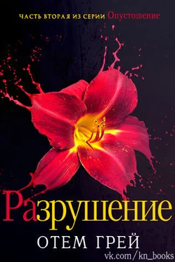 Отем Грей Разрушение (ЛП) обложка книги