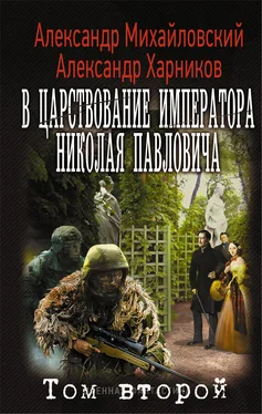 Александр Михайловский В царствование императора Николая Павловича обложка книги