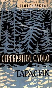 Сусанна Георгиевская Серебряное слово обложка книги