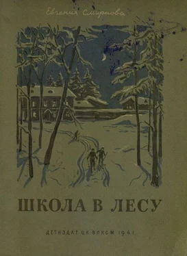 Евгения Смирнова Школа в лесу обложка книги