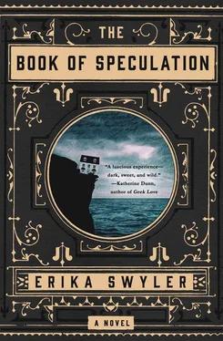 Erika Swyler The Book of Speculation обложка книги