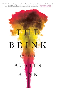 Austin Bunn The Brink: Stories обложка книги